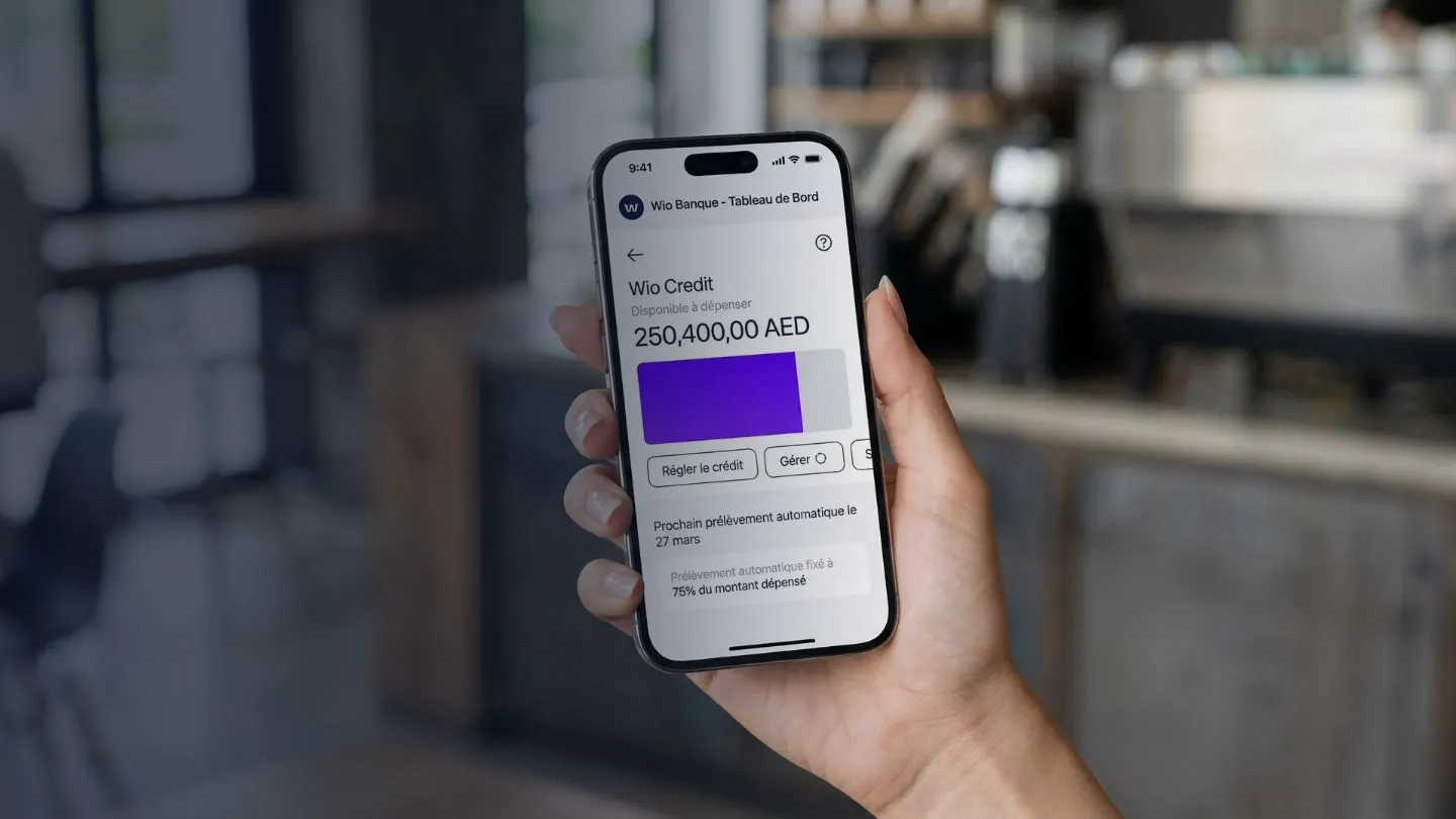 dashboard d'une banque en ligne a dubai sur le telephone d'une cliente